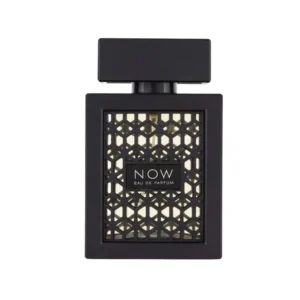 Rave Now – Apă de Parfum pentru bărbați, 100 ml